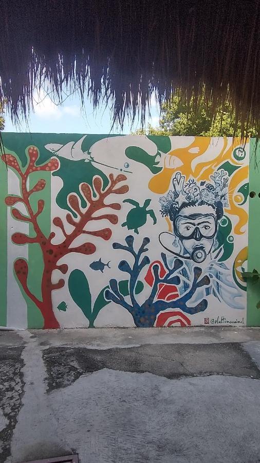 Blue Magic Hostel Cozumel Exterior foto